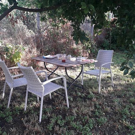 Joevo Het Pihenohaz Villa Poroszló Buitenkant foto