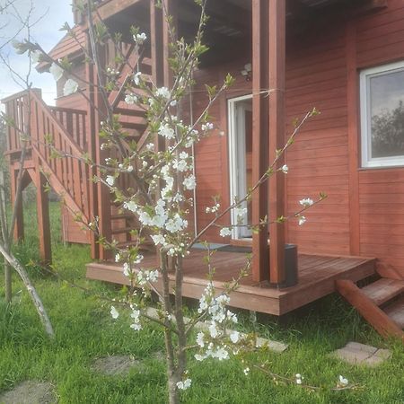 Joevo Het Pihenohaz Villa Poroszló Buitenkant foto