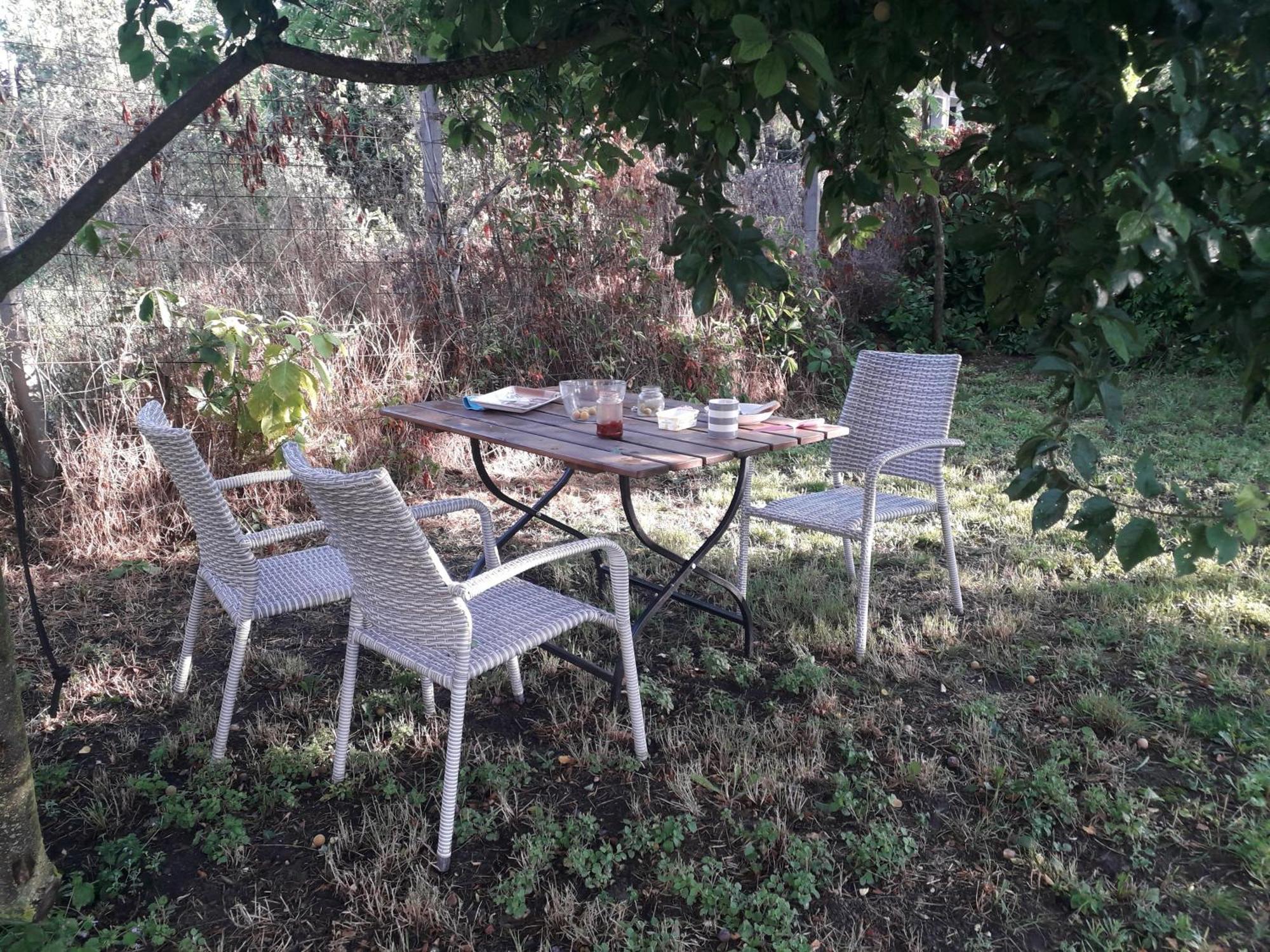 Joevo Het Pihenohaz Villa Poroszló Buitenkant foto