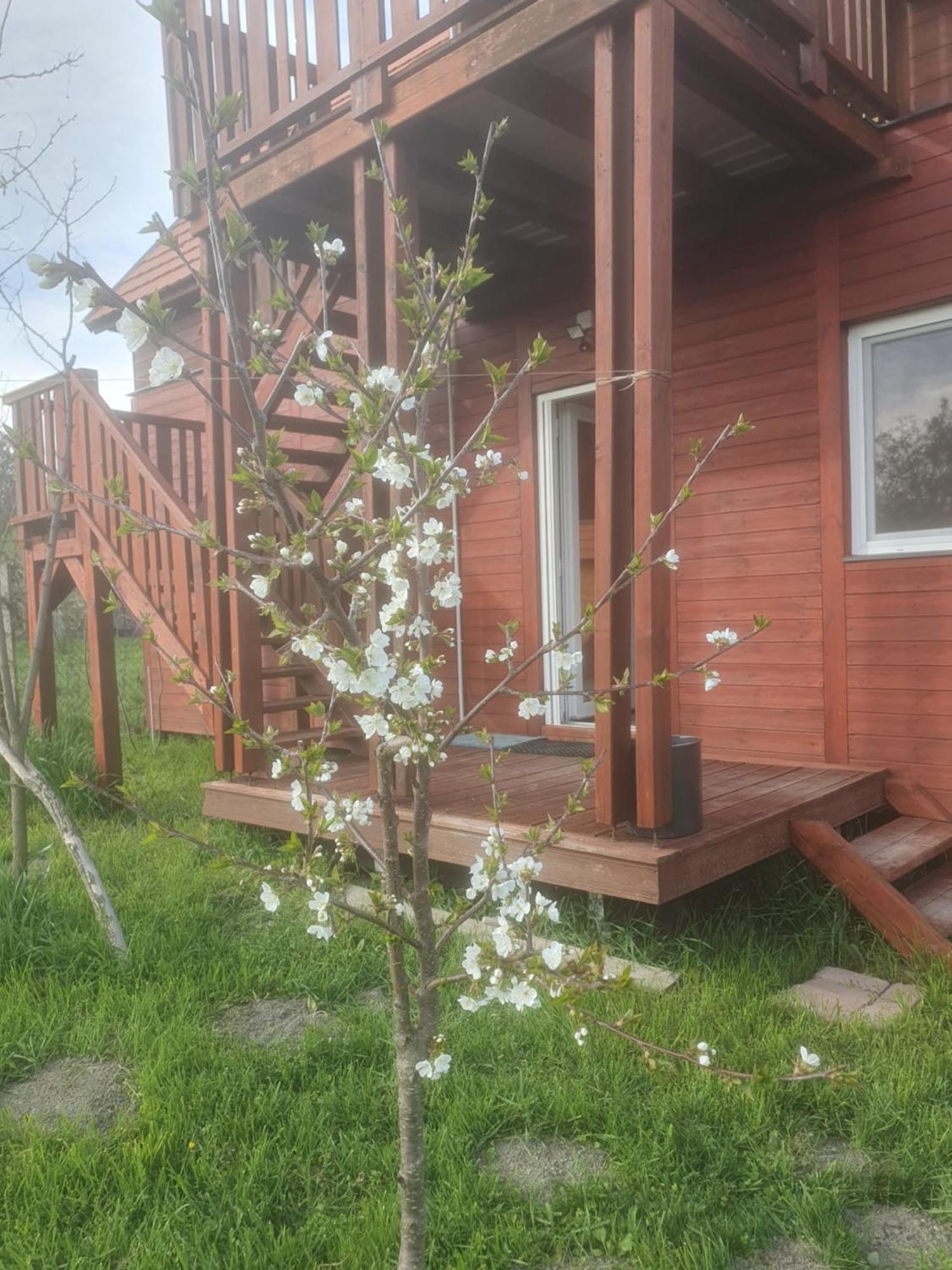 Joevo Het Pihenohaz Villa Poroszló Buitenkant foto